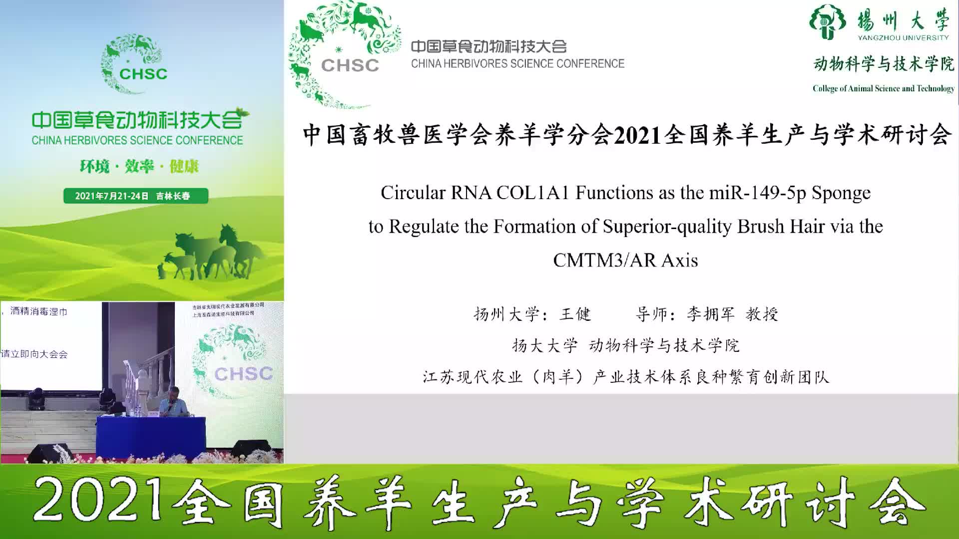 circCOL1A1吸附miR-149-5p调控长江三角洲白山羊优质笔料毛性状形成的分子机制研究 