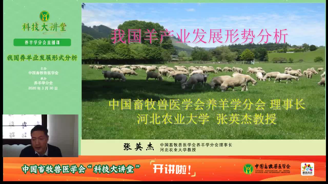 我国养羊业发展形式分析