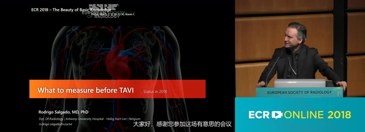 What to measure prior to transcatheter aortic valve implantation (TAVI)